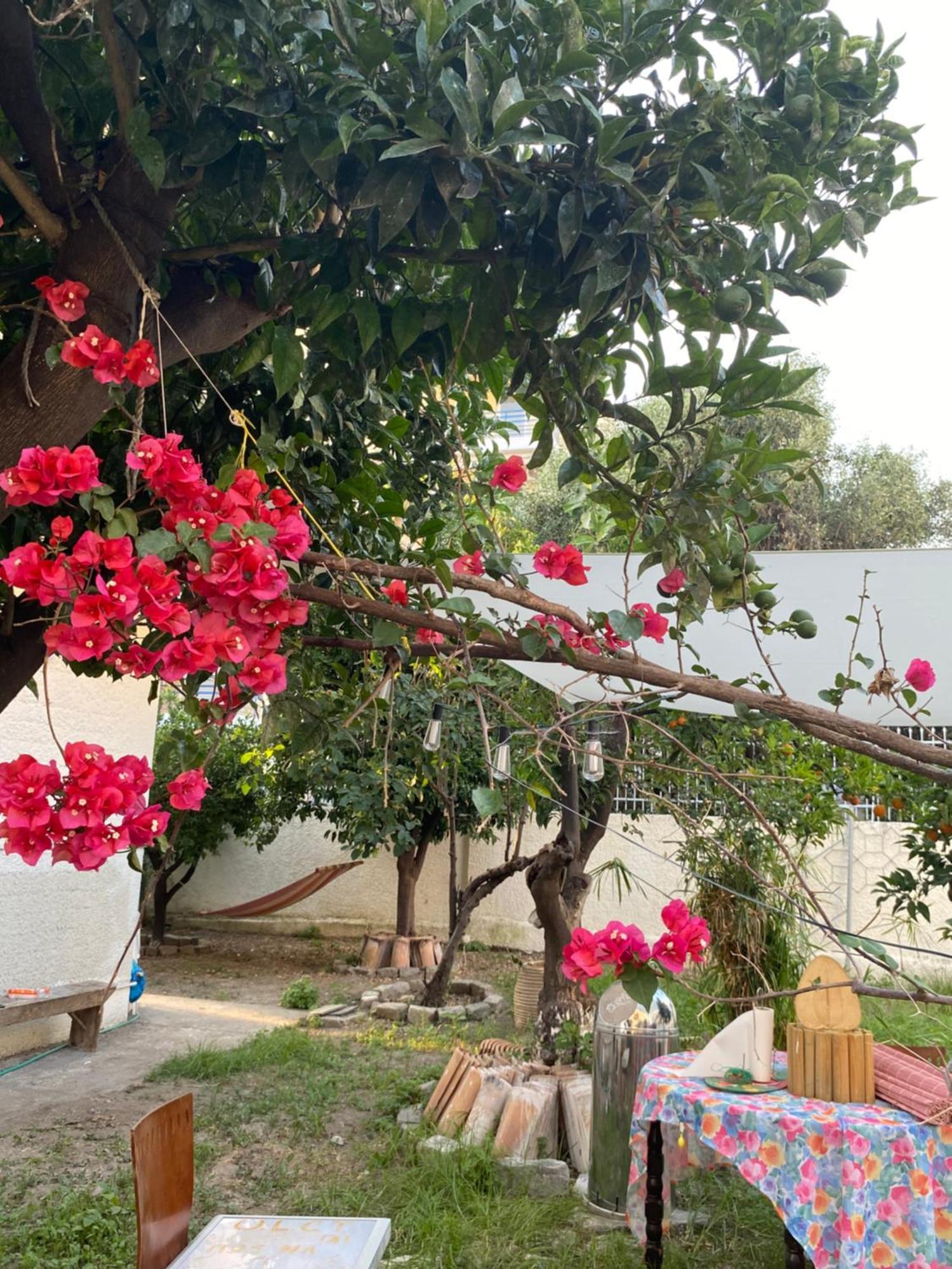 Appartement Located Ruby Luxury Escape